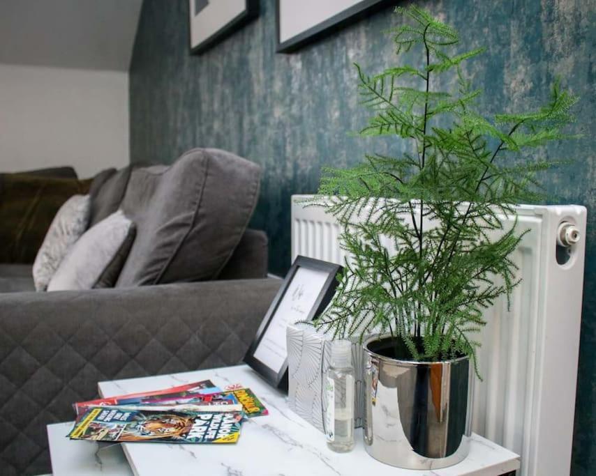 Luxe Living Guest House-Sleeps 6-Private Parking-Free Wifi-Beach-City 스완지 외부 사진